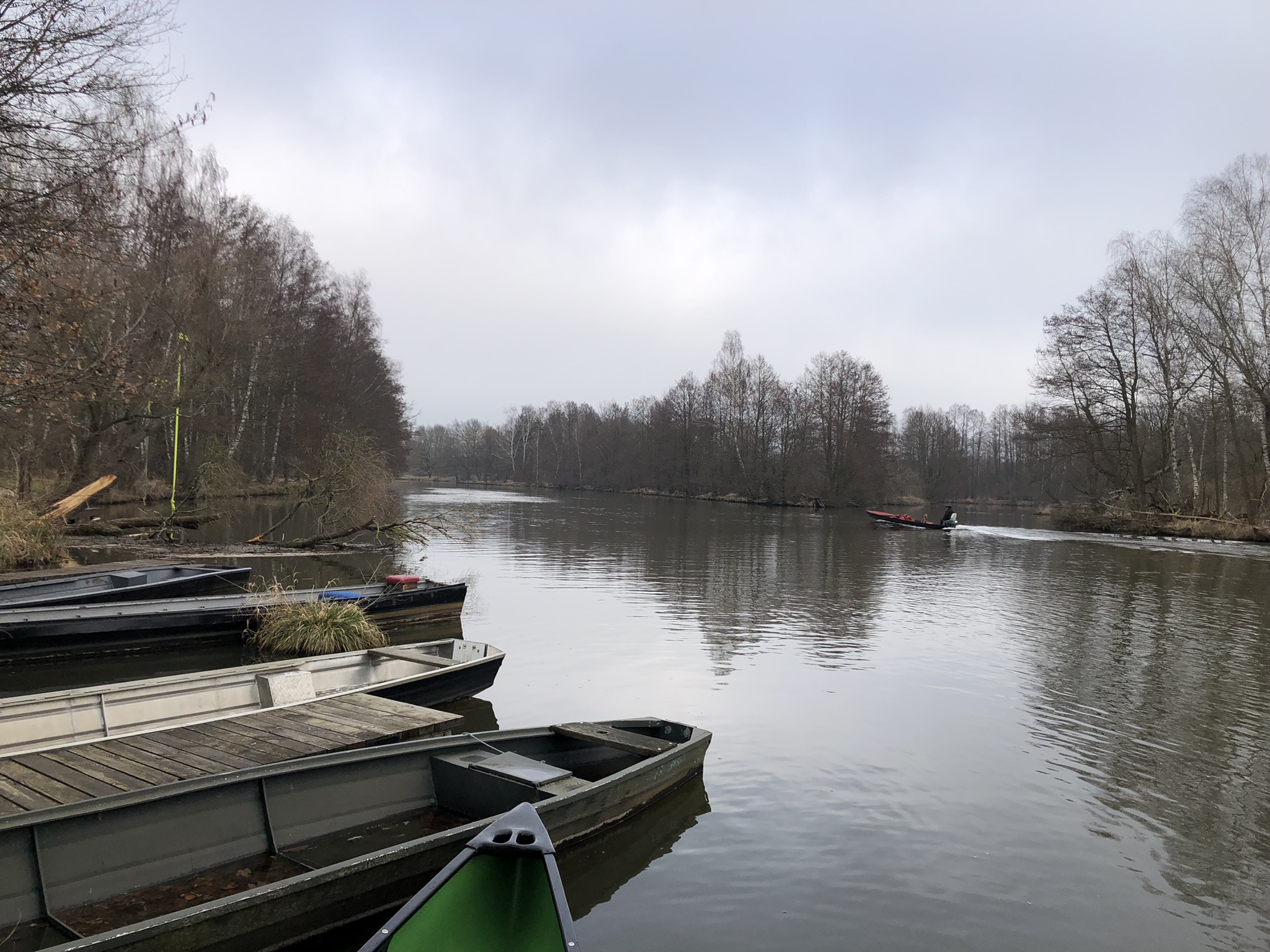 Spreewald im Winter