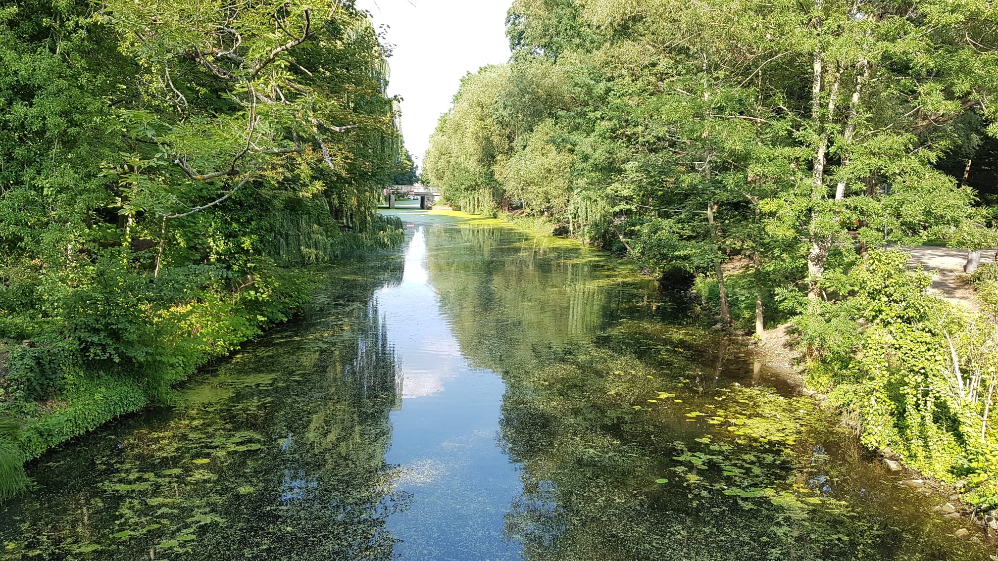 Spreewald