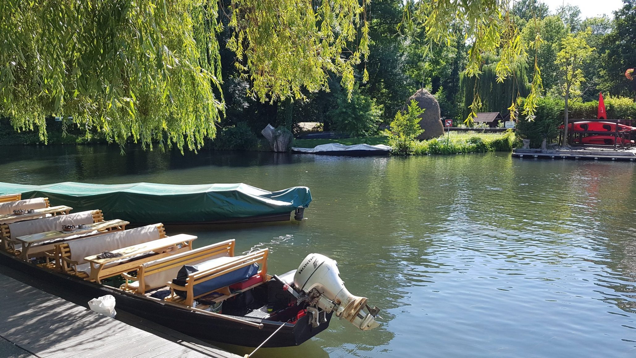 Kahn im Spreewald